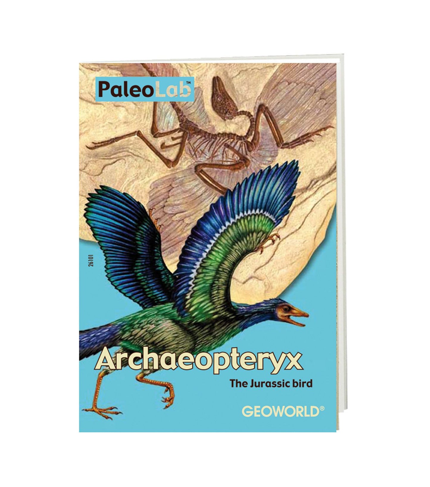 Geoworld Paleo Lab Archaeoptery Fossil Replica Paleontologist Kit