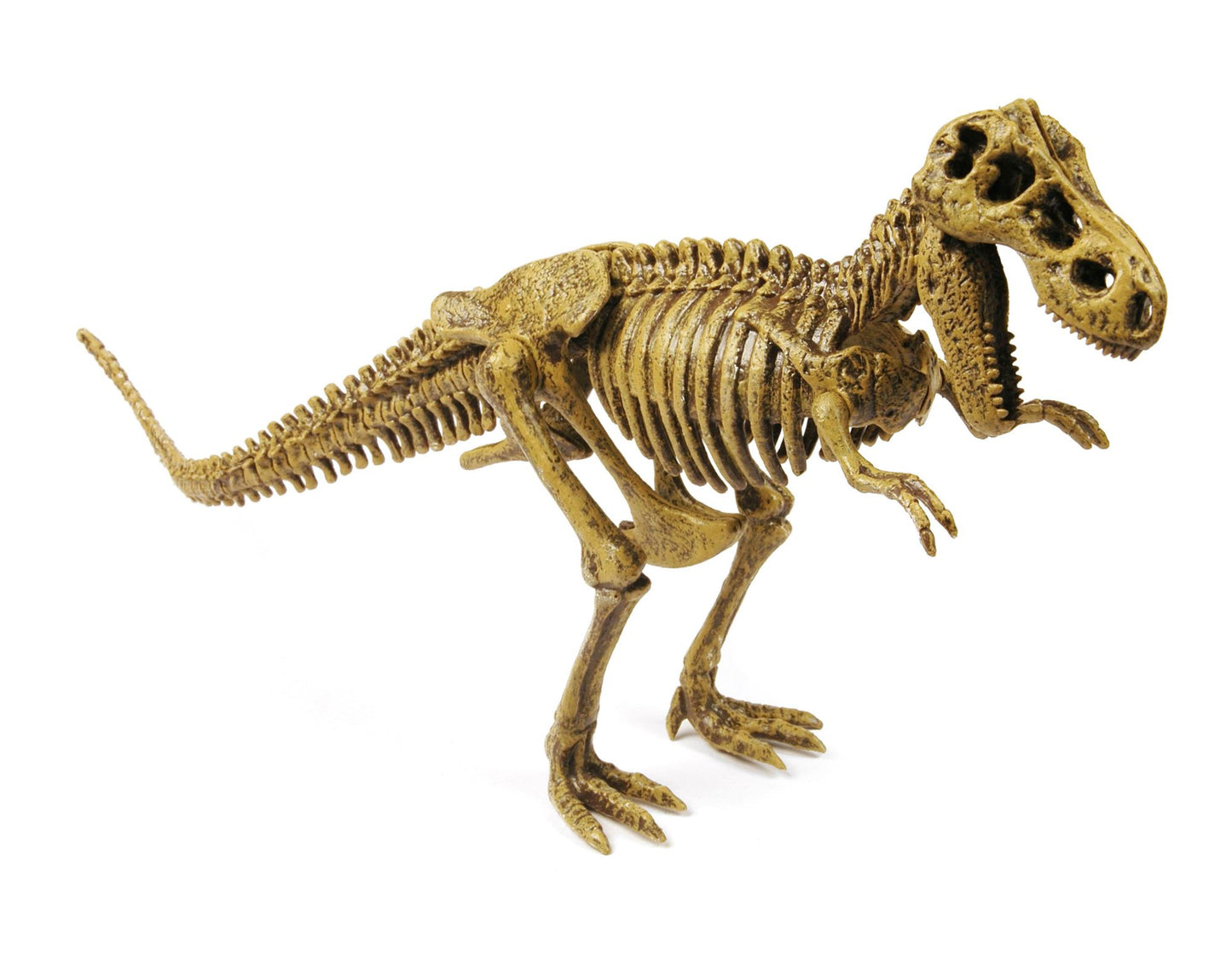 Geoworld Dr. Steve Hunters Paleo Expeditions Dino Excavation Kit - T. Rex