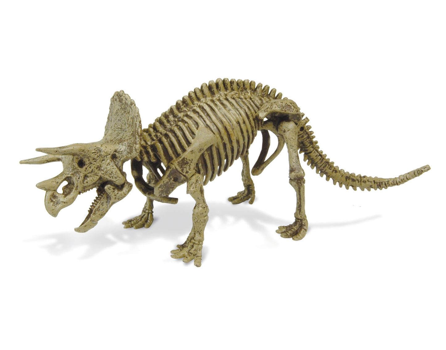 Geoworld Dr. Steve Hunters Paleo Expeditions Dino Excavation Kit - Triceratops