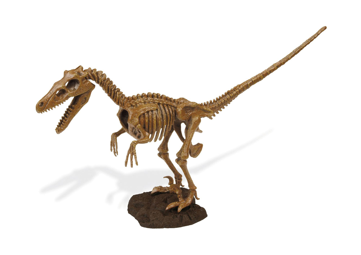 Geoworld Dr. Steve Hunters Paleo Expeditions Dino Excavation Kit - Velociraptor