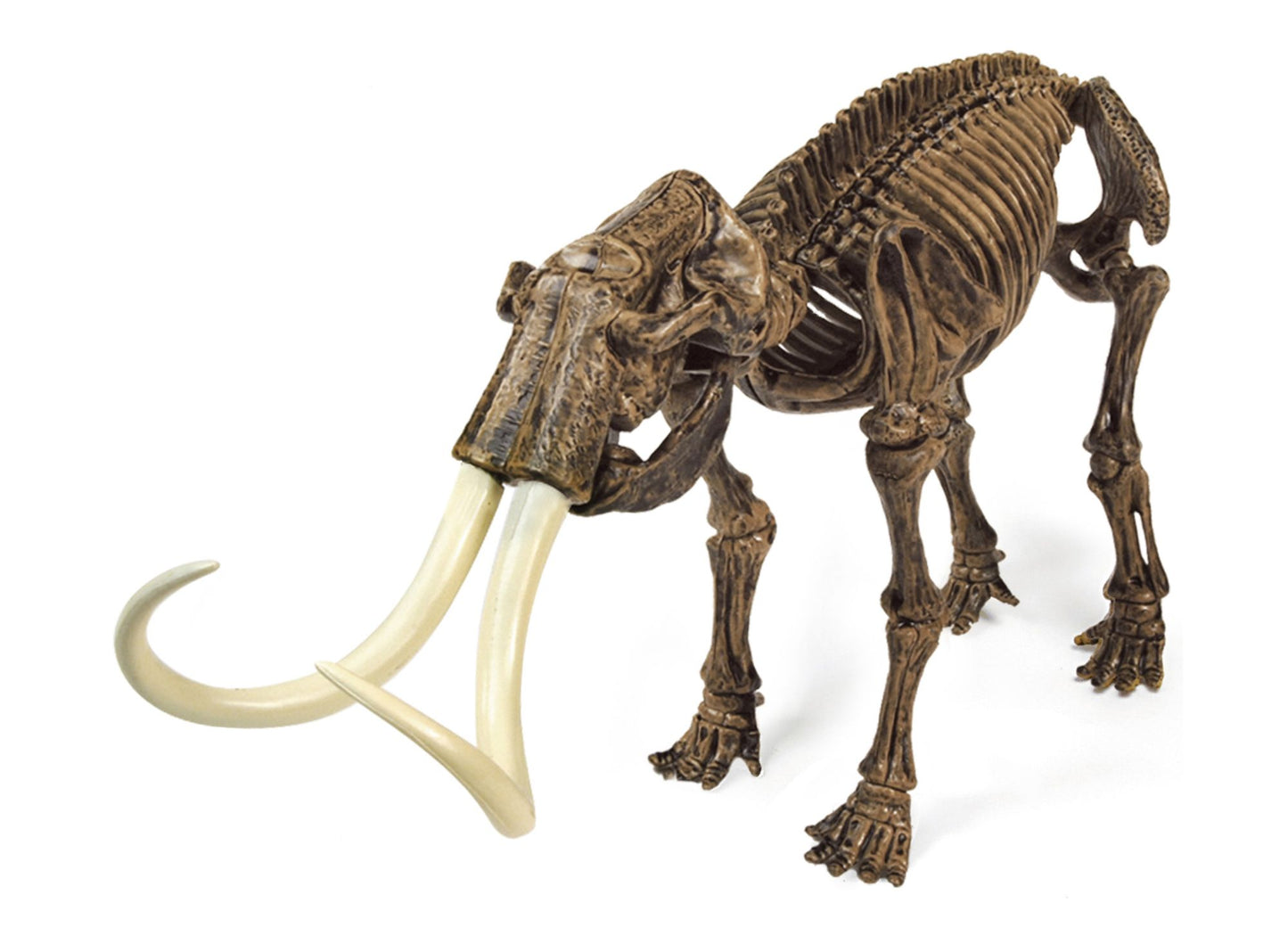 Geoworld Dr. Steve Hunters Paleo Expeditions Dino Excavation Kit - Mammuthus