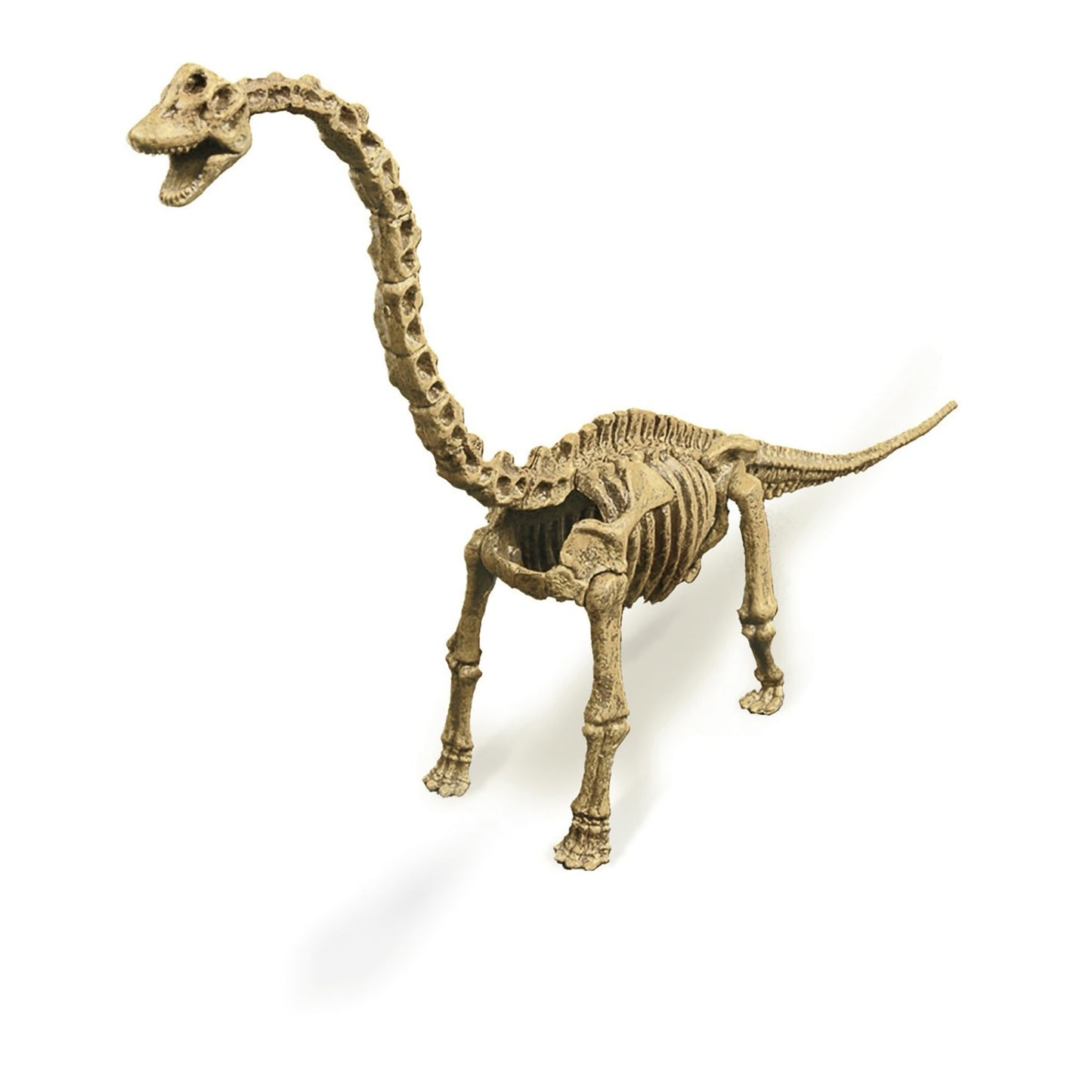 Geoworld Dr. Steve Hunters Paleo Expeditions Dino Excavation Kit - Brachiosaurus
