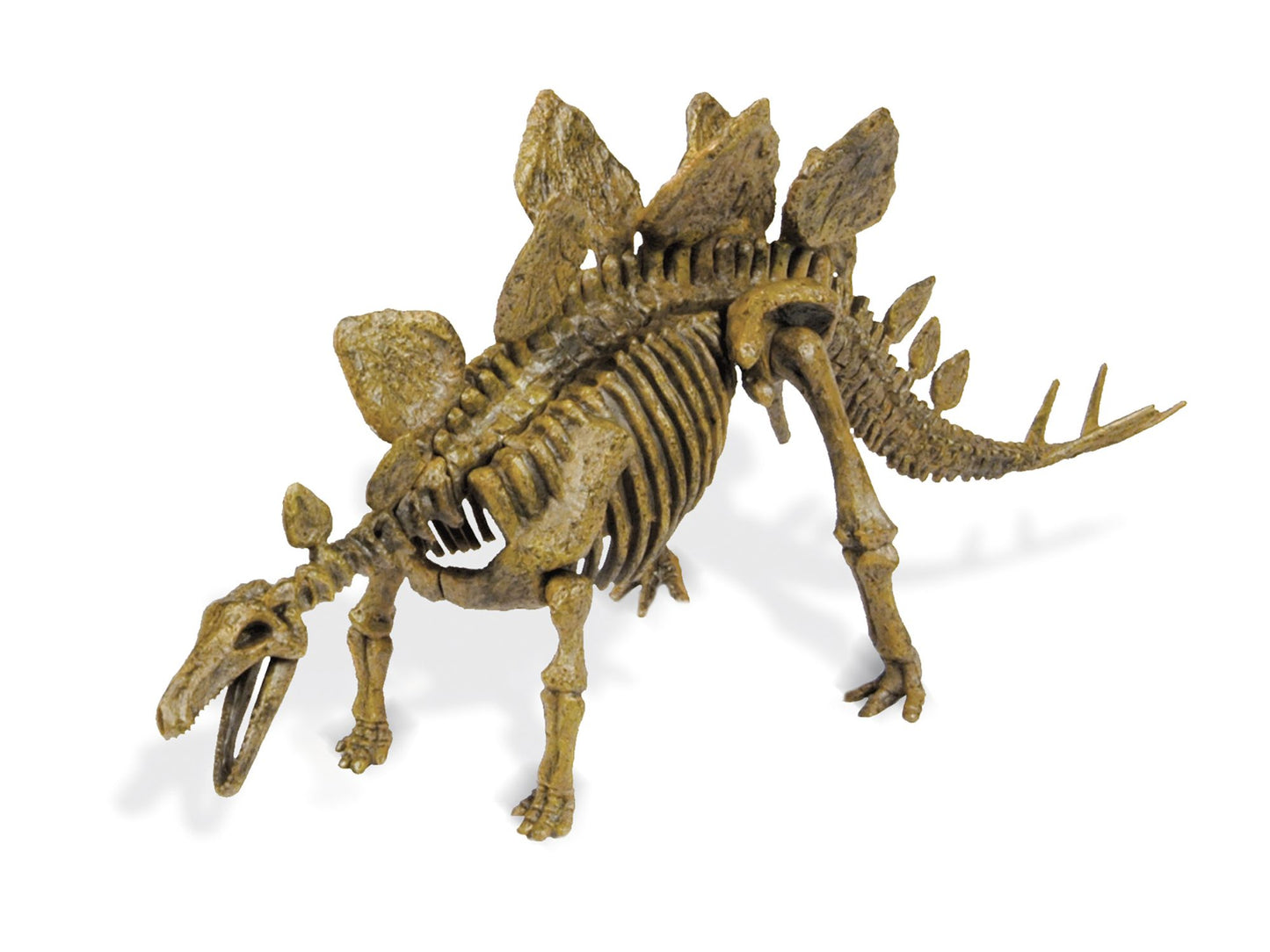 Geoworld Dr. Steve Hunters Paleo Expeditions Dino Excavation Kit - Stegosaurus