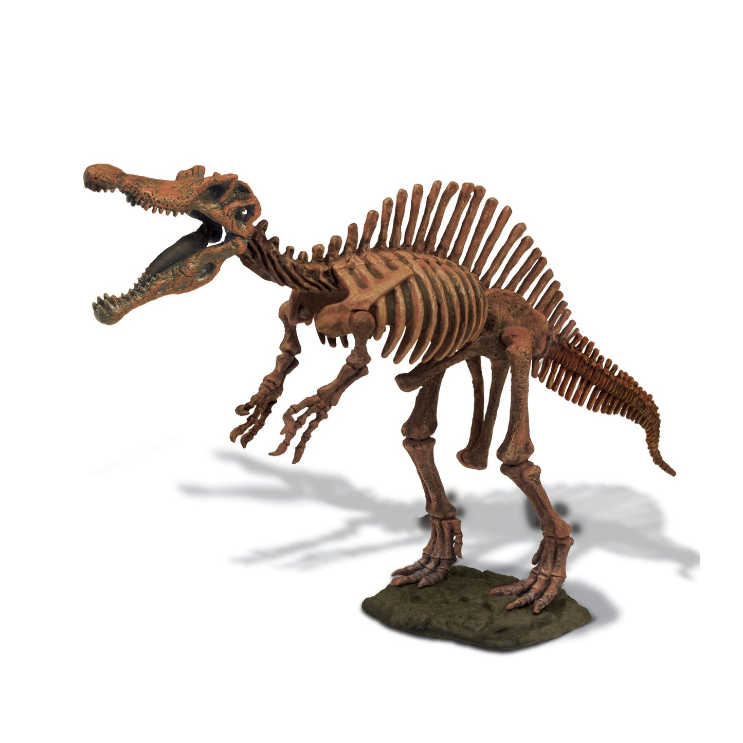 Geoworld Dr. Steve Hunters Paleo Expeditions Dino Excavation Kit - Spinosaurus