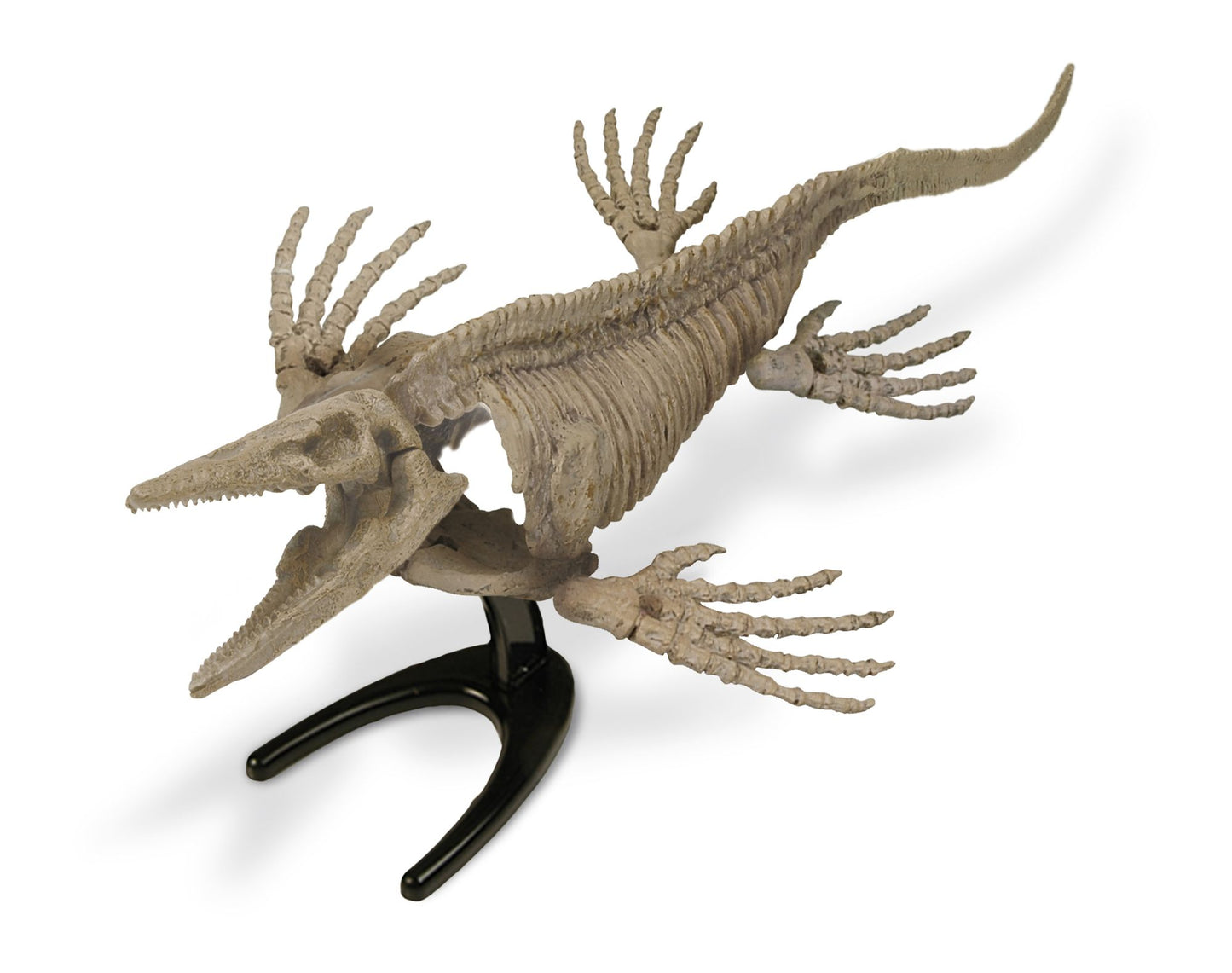 Geoworld Dr. Steve Hunters Paleo Expeditions Dino Excavation Kit - Mosasaurus
