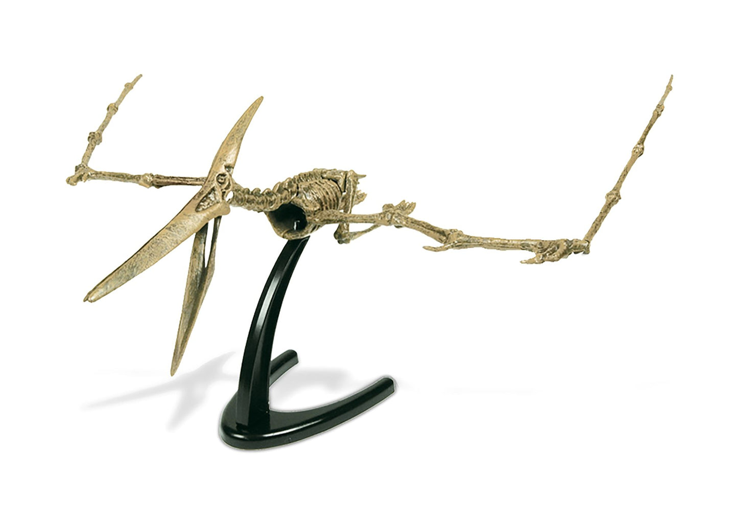 Geoworld Dr. Steve Hunters Paleo Expeditions Dino Excavation Kit - Pteranodon