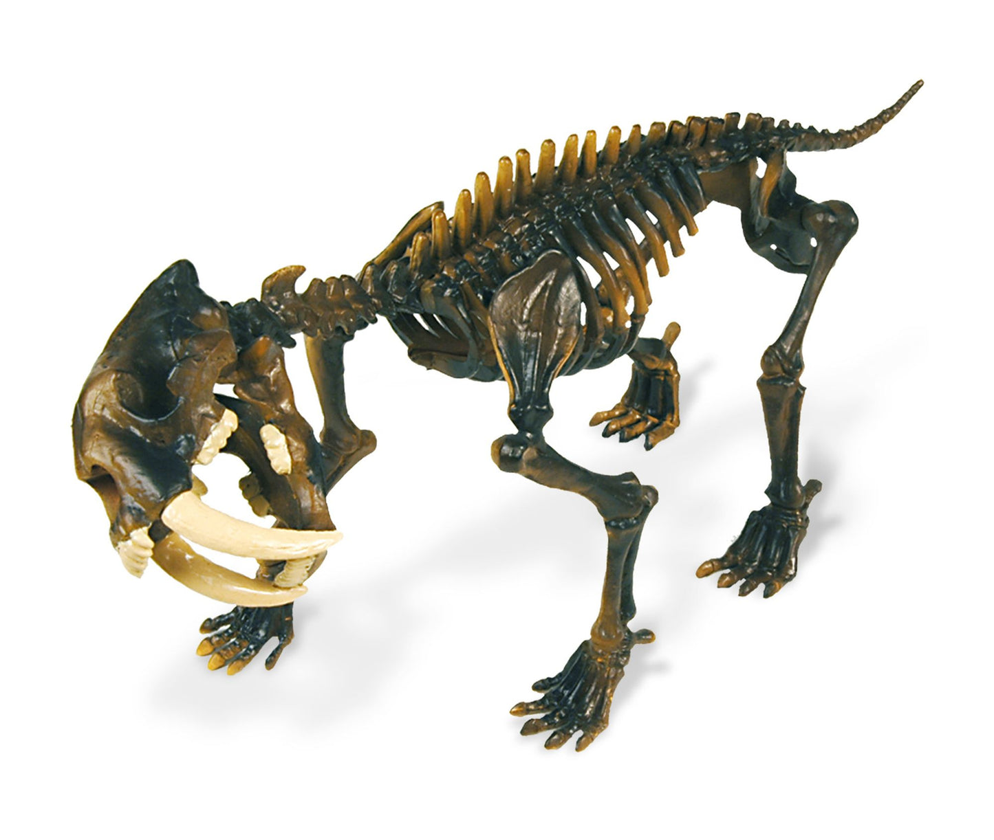 Geoworld Dr. Steve Hunters Paleo Expeditions Dino Excavation Kit - Smilodon