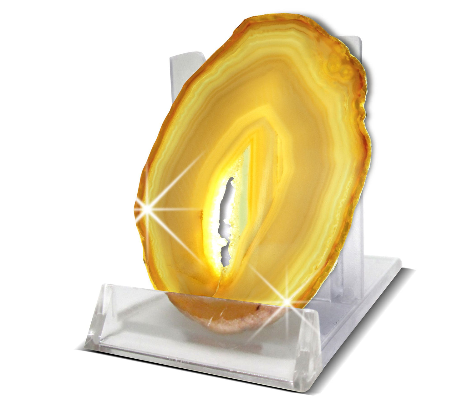 Geoworld Dr. Steve Hunters 7 Geodes plus Agate Slice Crack 'em Open Kit