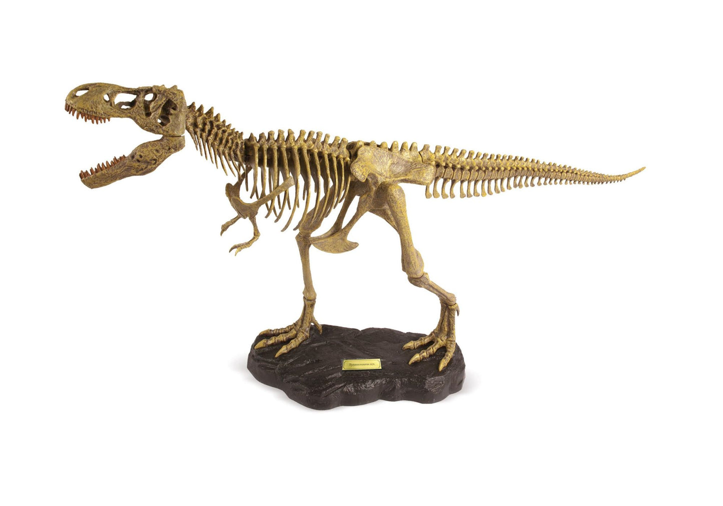 Geoworld Dr. Steve Hunters Paleo Expeditions Kit - T. Rex