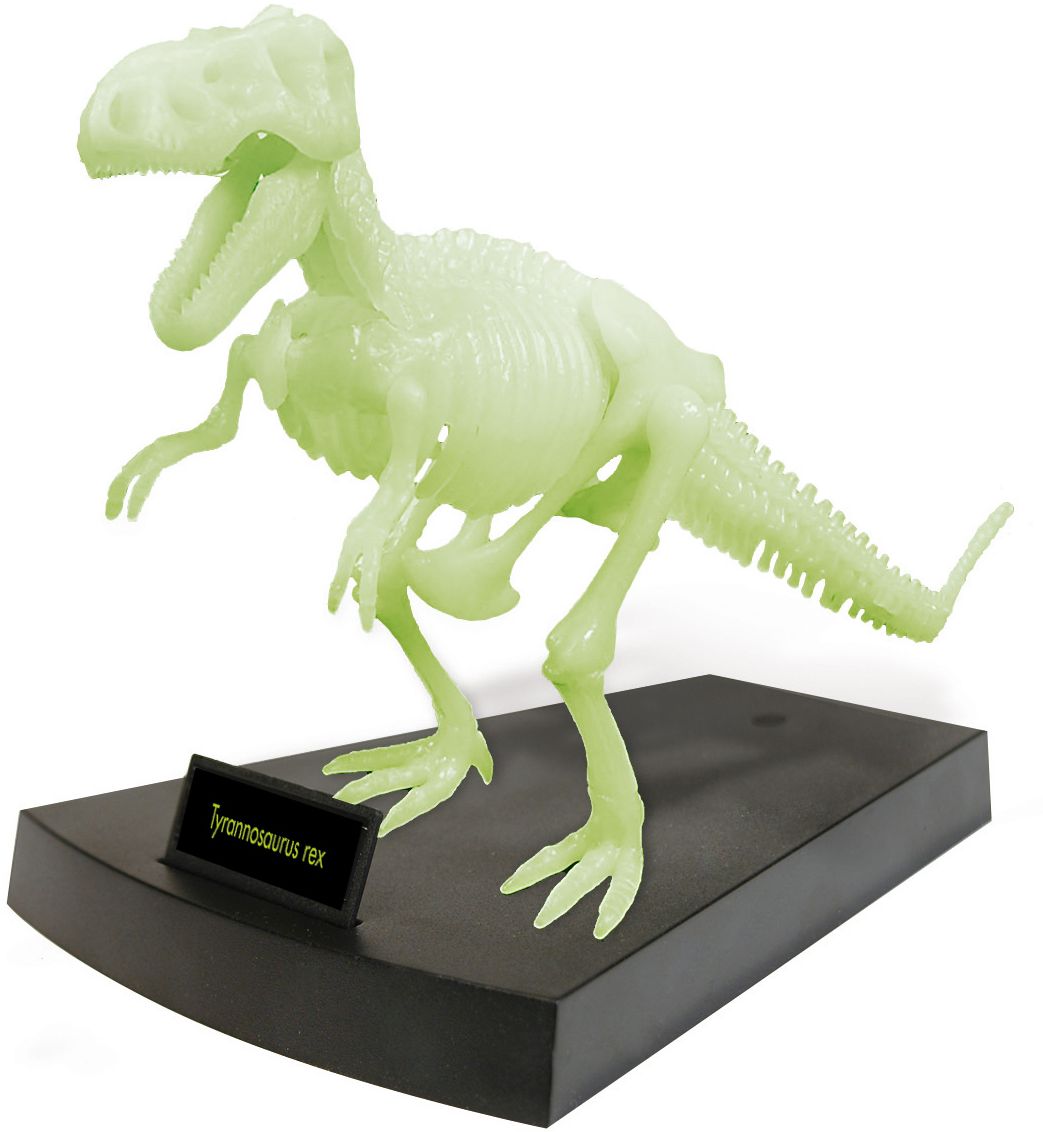 Jurassic Night - T-Rex