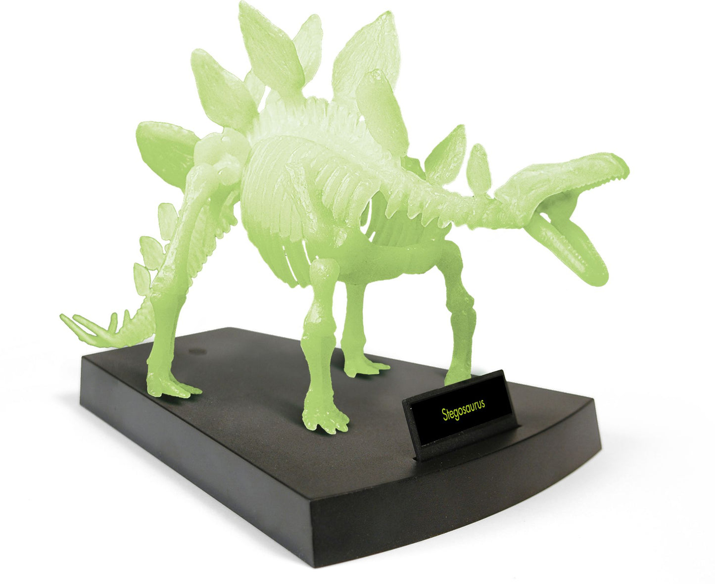 Jurassic Night - Stegosaurus Glow in the Dark