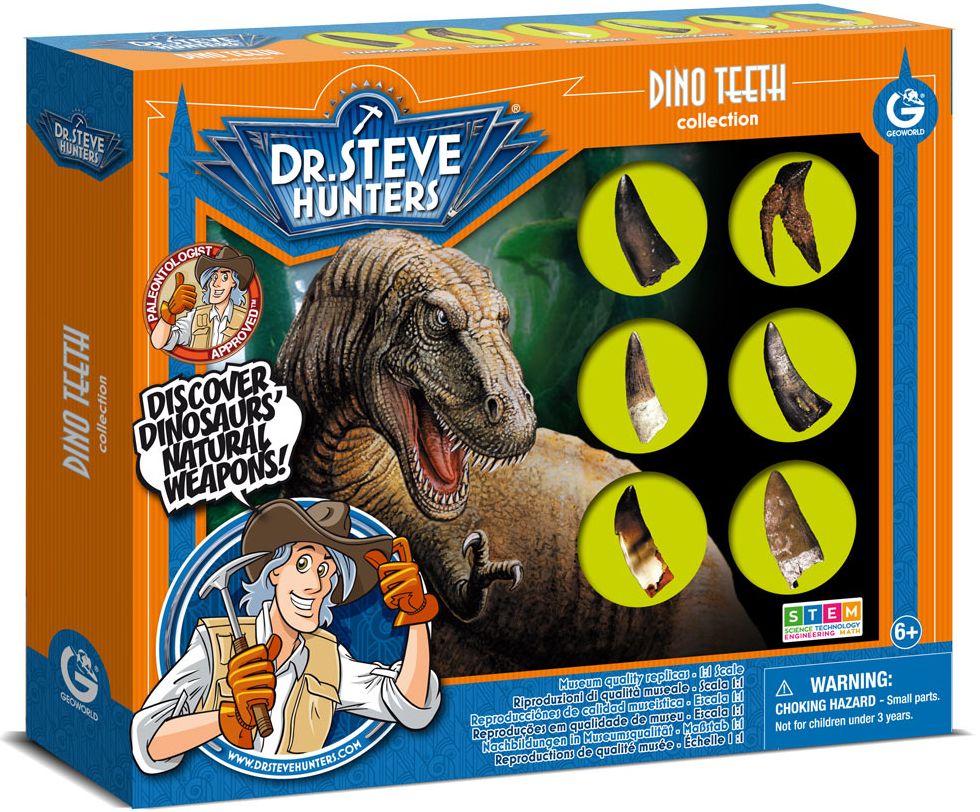 Dr. Steve Hunters Dino Teeth