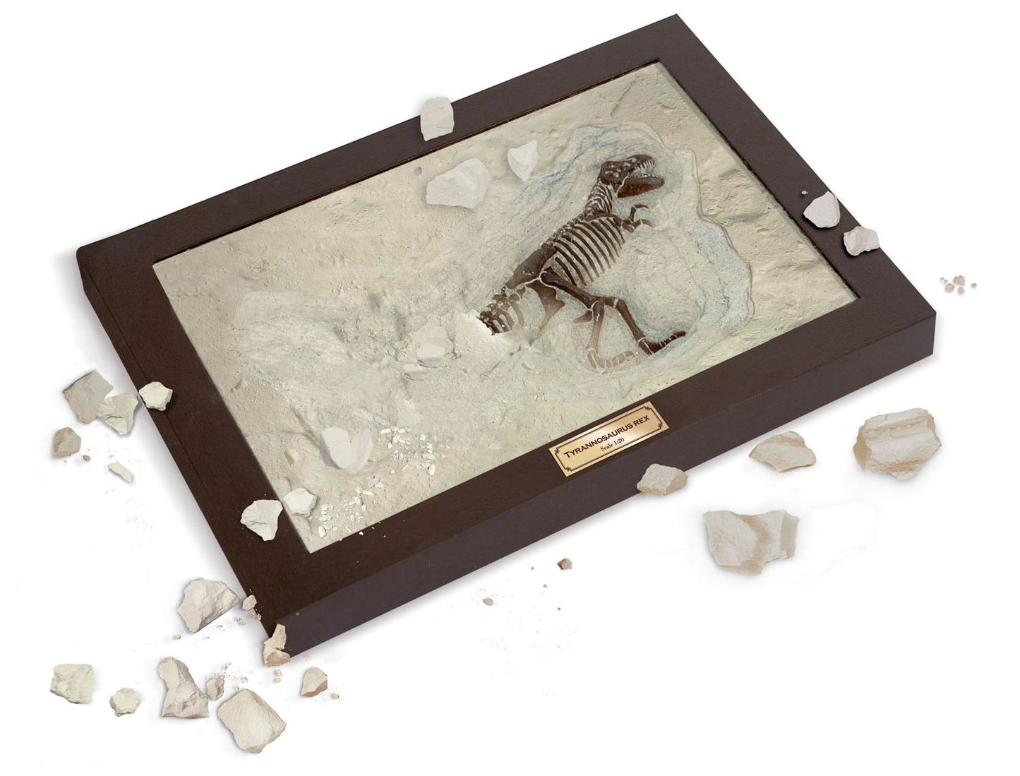 Dr. Steve Hunters Tyrannosaurus Rex Paleo Lab