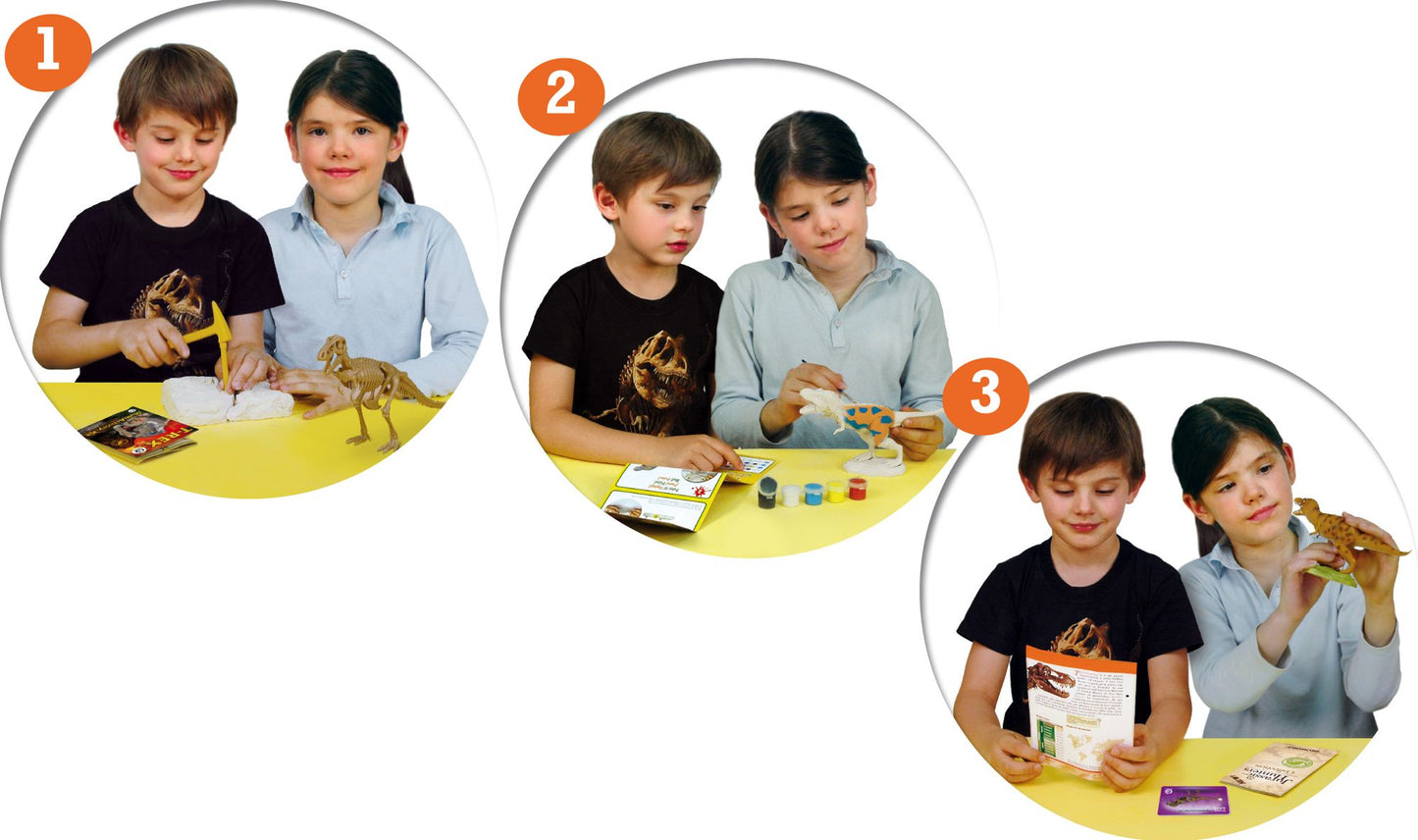 T-Rex Multi Activity Kit