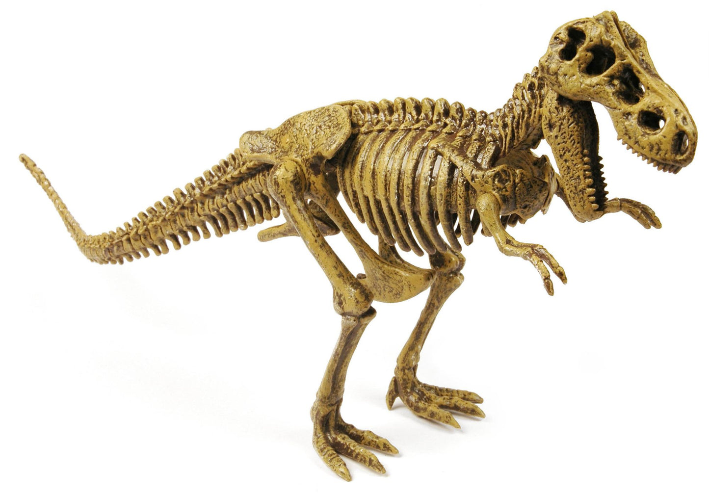 T-Rex Multi Activity Kit