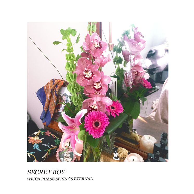 Secret Boy