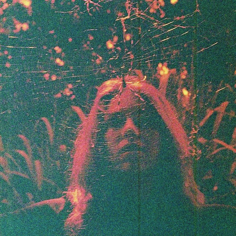 Peripheral Vision [Lp]