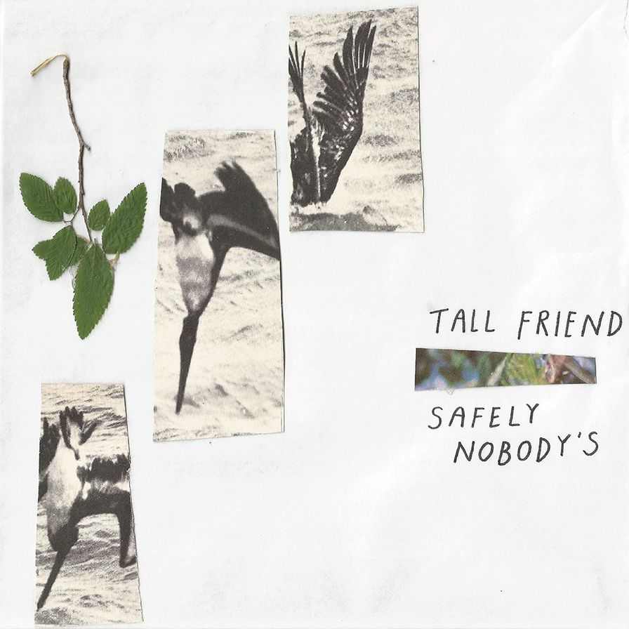 Safely Nobody's