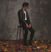 Felt [Lp]