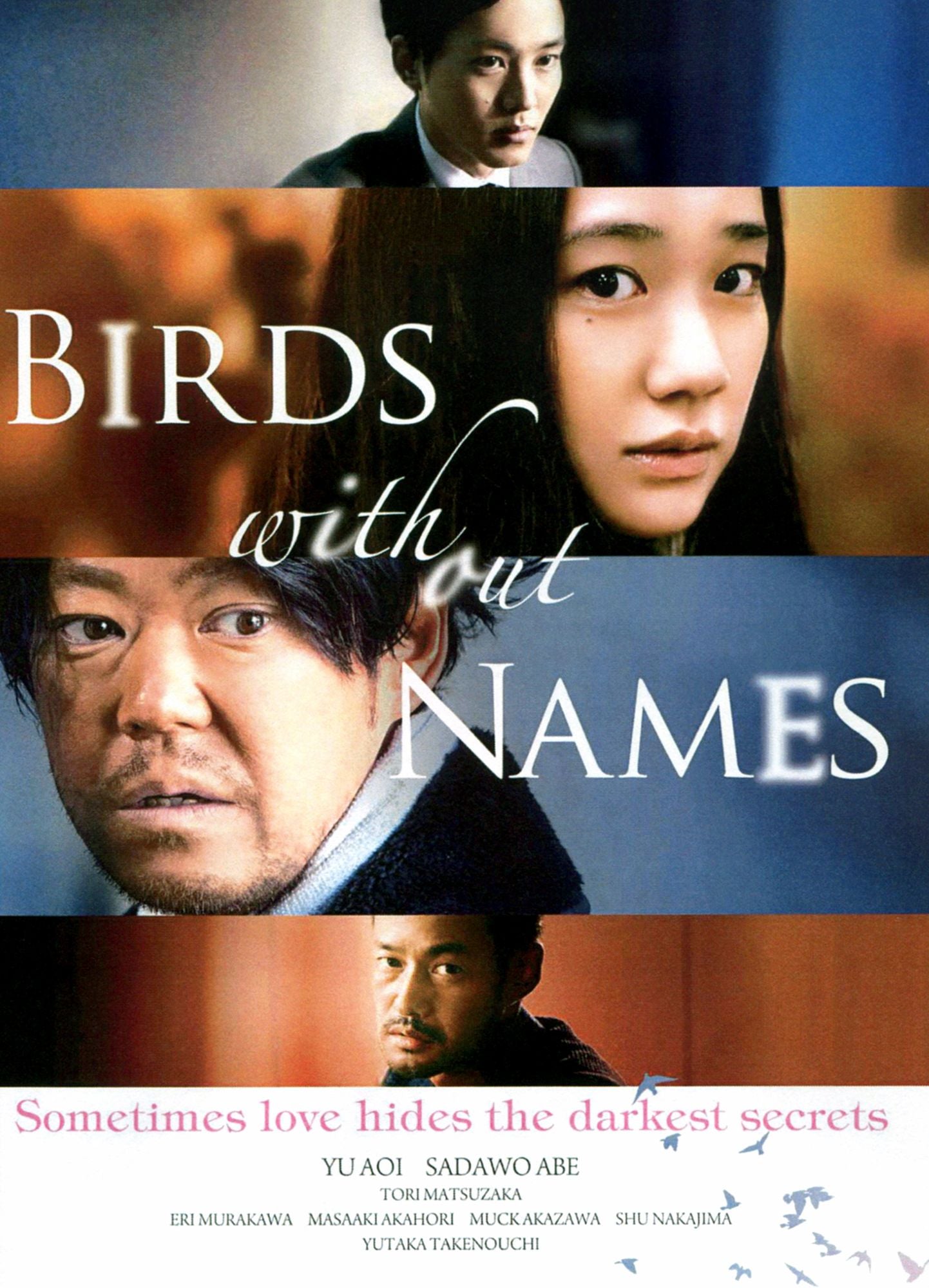 Birds Without Names