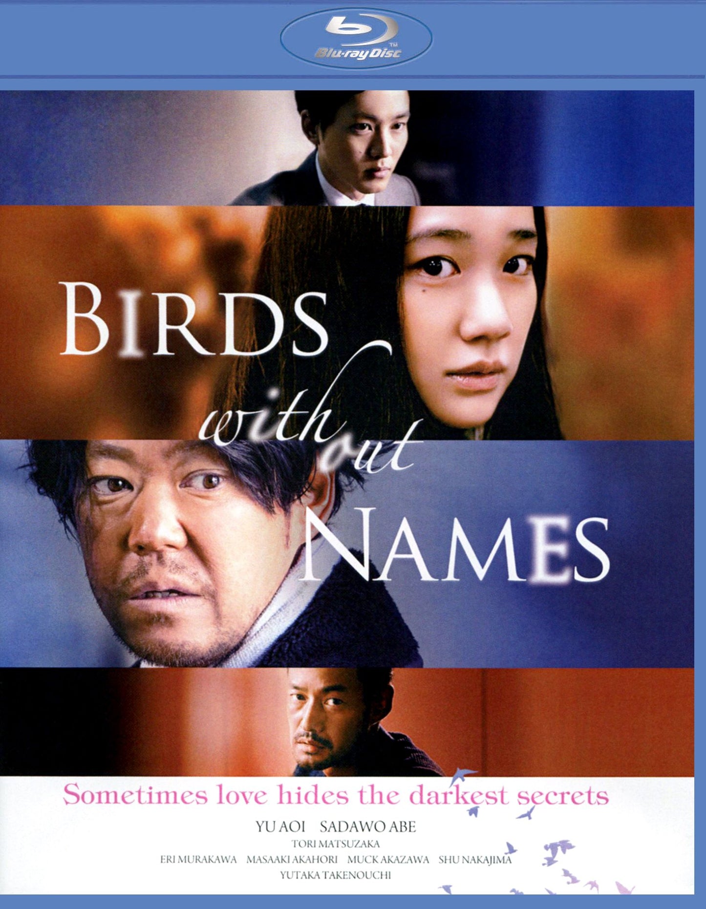 Birds Without Names