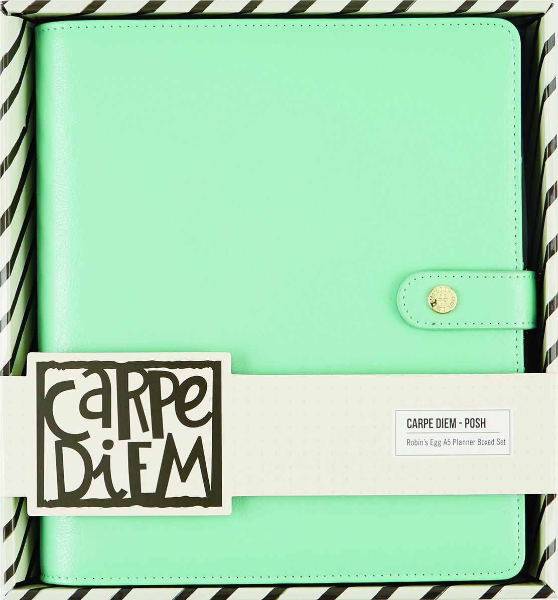 2018 Carpe Diem - Posh Robin's Egg Monthly/Weekly Planner Box Set