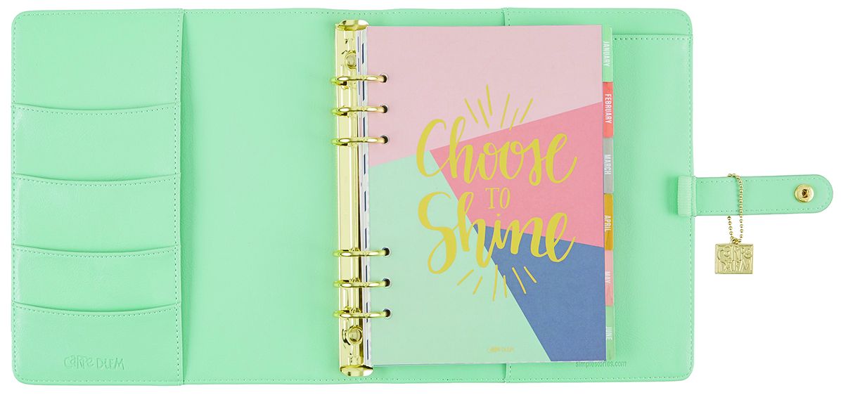 2018 Carpe Diem - Posh Robin's Egg Monthly/Weekly Planner Box Set