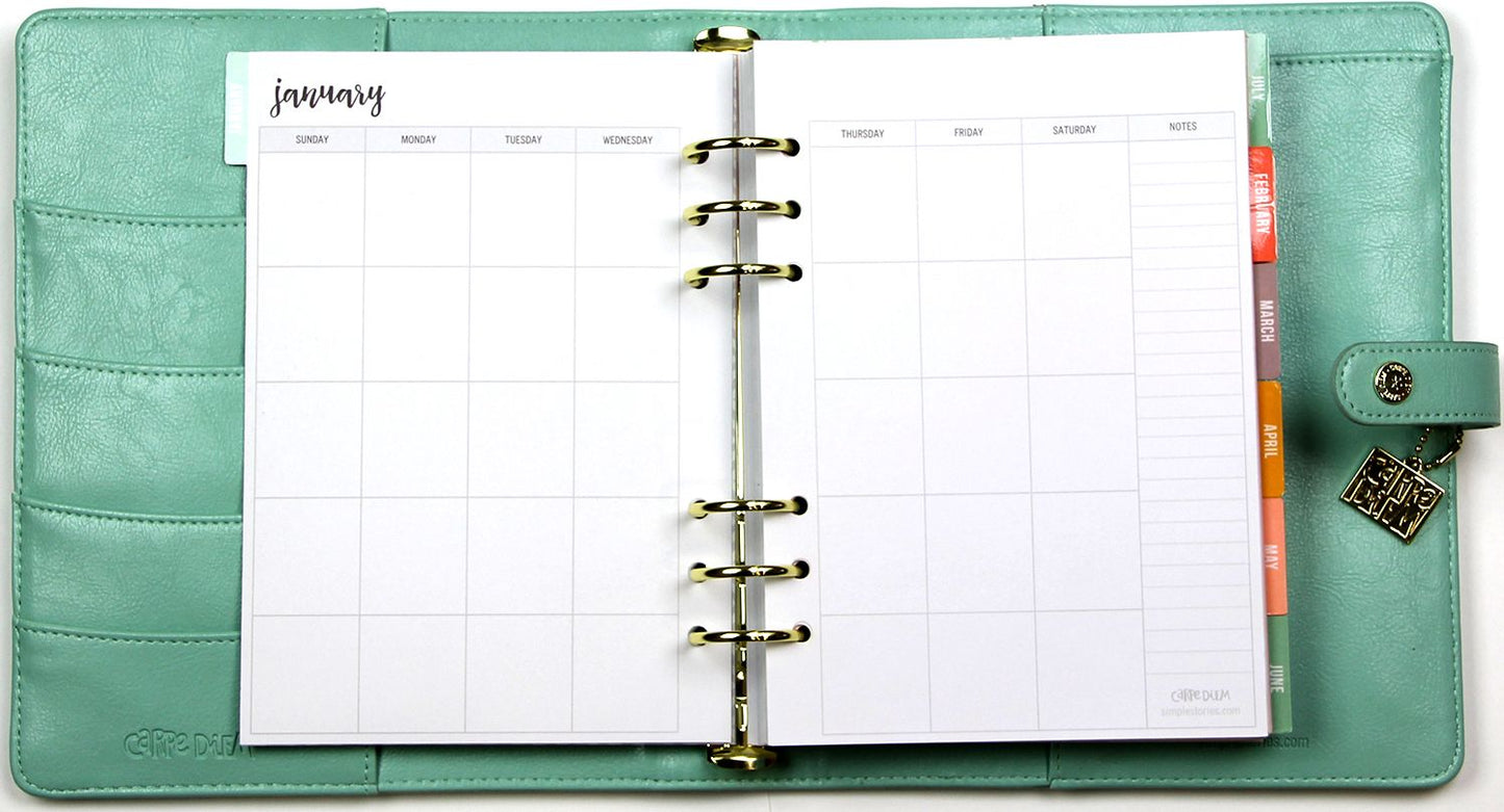 2018 Carpe Diem - Posh Robin's Egg Monthly/Weekly Planner Box Set