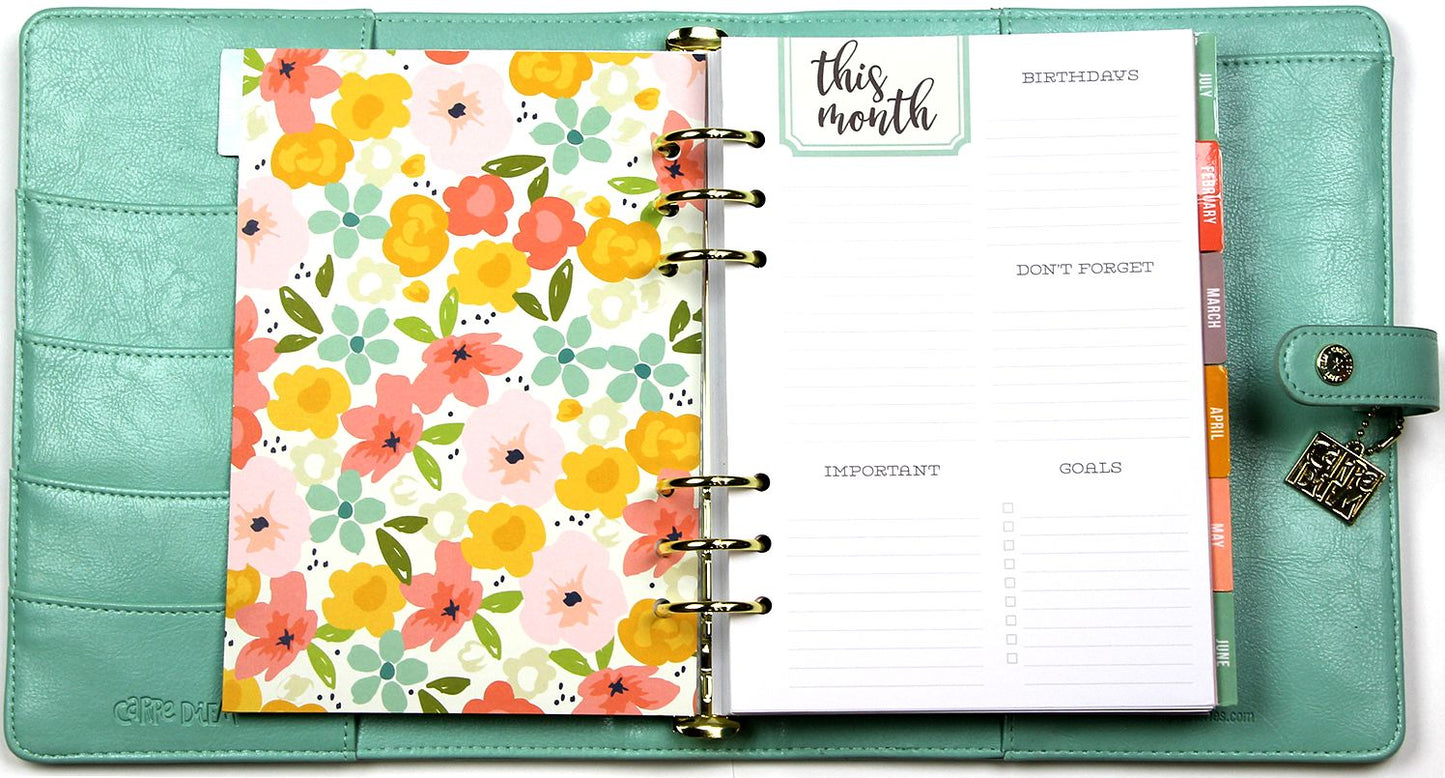 2018 Carpe Diem - Posh Robin's Egg Monthly/Weekly Planner Box Set