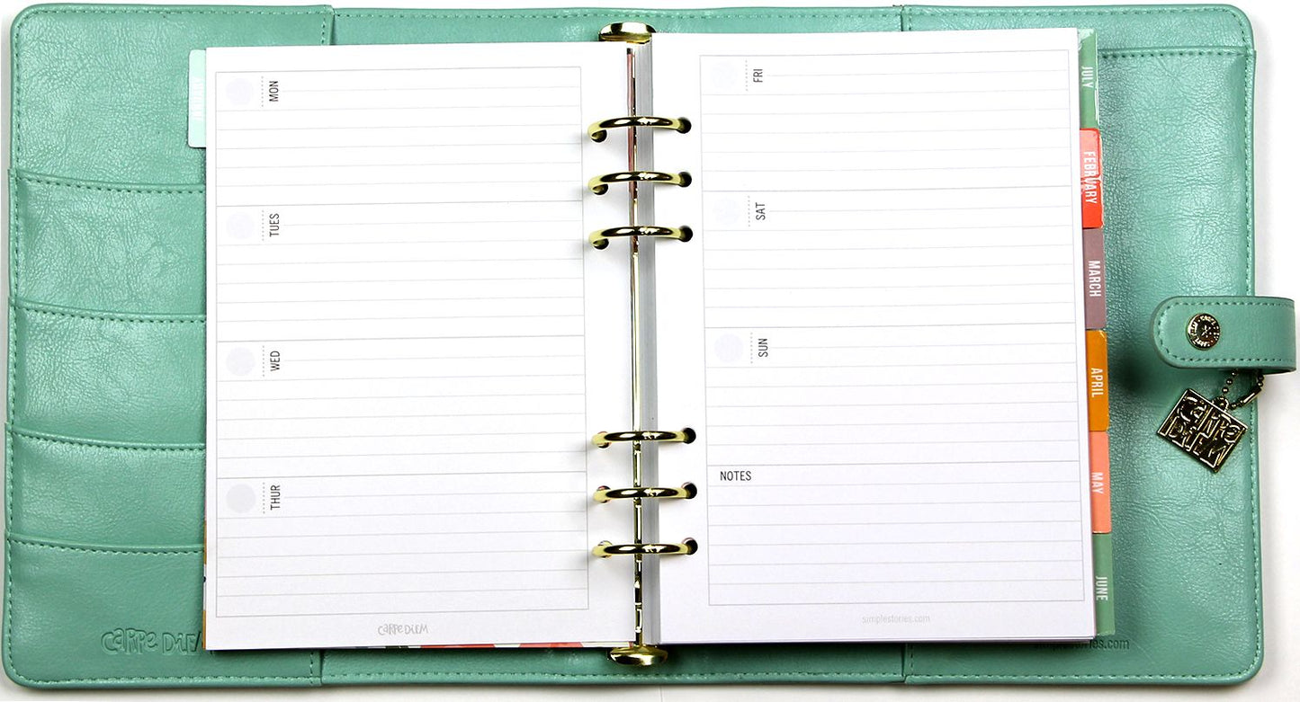 2018 Carpe Diem - Posh Robin's Egg Monthly/Weekly Planner Box Set
