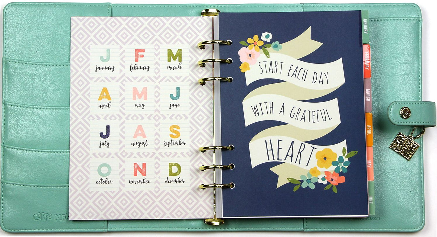 2018 Carpe Diem - Posh Robin's Egg Monthly/Weekly Planner Box Set