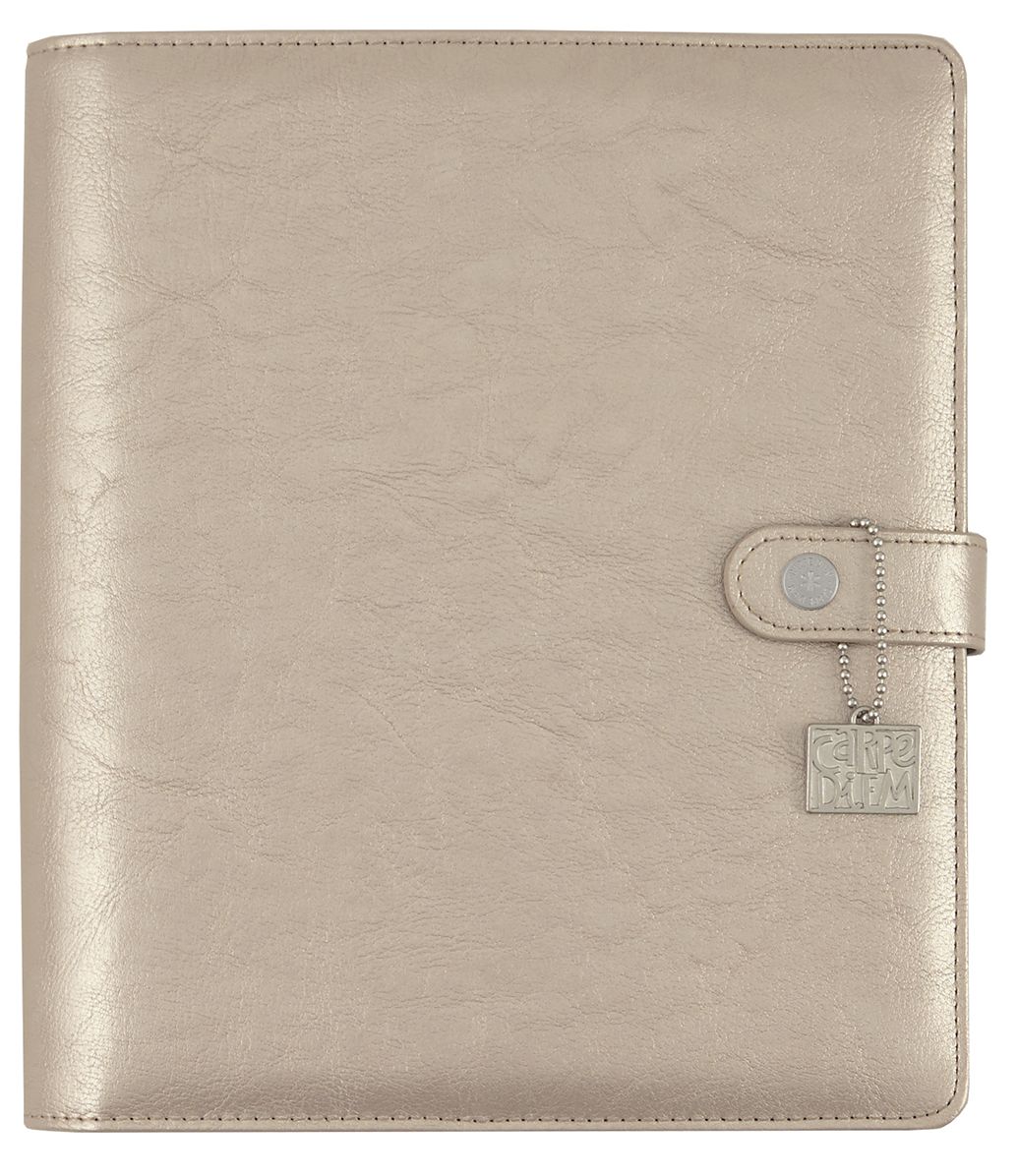 2018 Carpe Diem - Posh Platinum Monthly/Weekly Planner Box Set