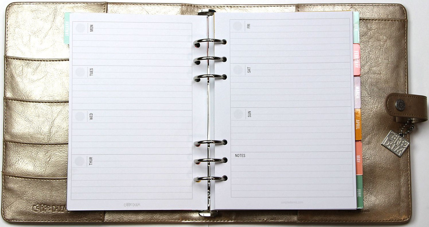 2018 Carpe Diem - Posh Platinum Monthly/Weekly Planner Box Set
