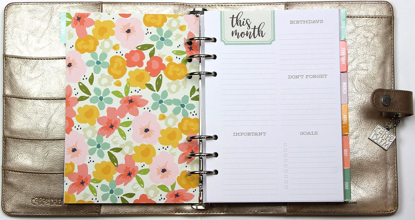 2018 Carpe Diem - Posh Platinum Monthly/Weekly Planner Box Set