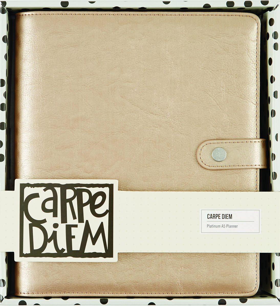 2018 Carpe Diem - Posh Platinum Monthly/Weekly Planner Box Set