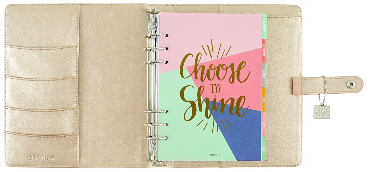2018 Carpe Diem - Posh Platinum Monthly/Weekly Planner Box Set