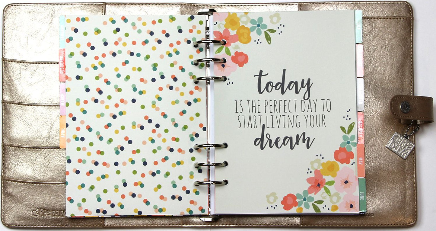 2018 Carpe Diem - Posh Platinum Monthly/Weekly Planner Box Set