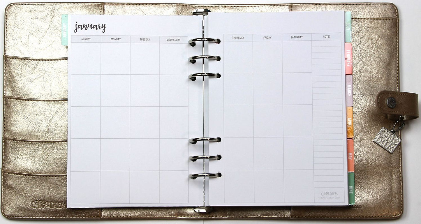 2018 Carpe Diem - Posh Platinum Monthly/Weekly Planner Box Set