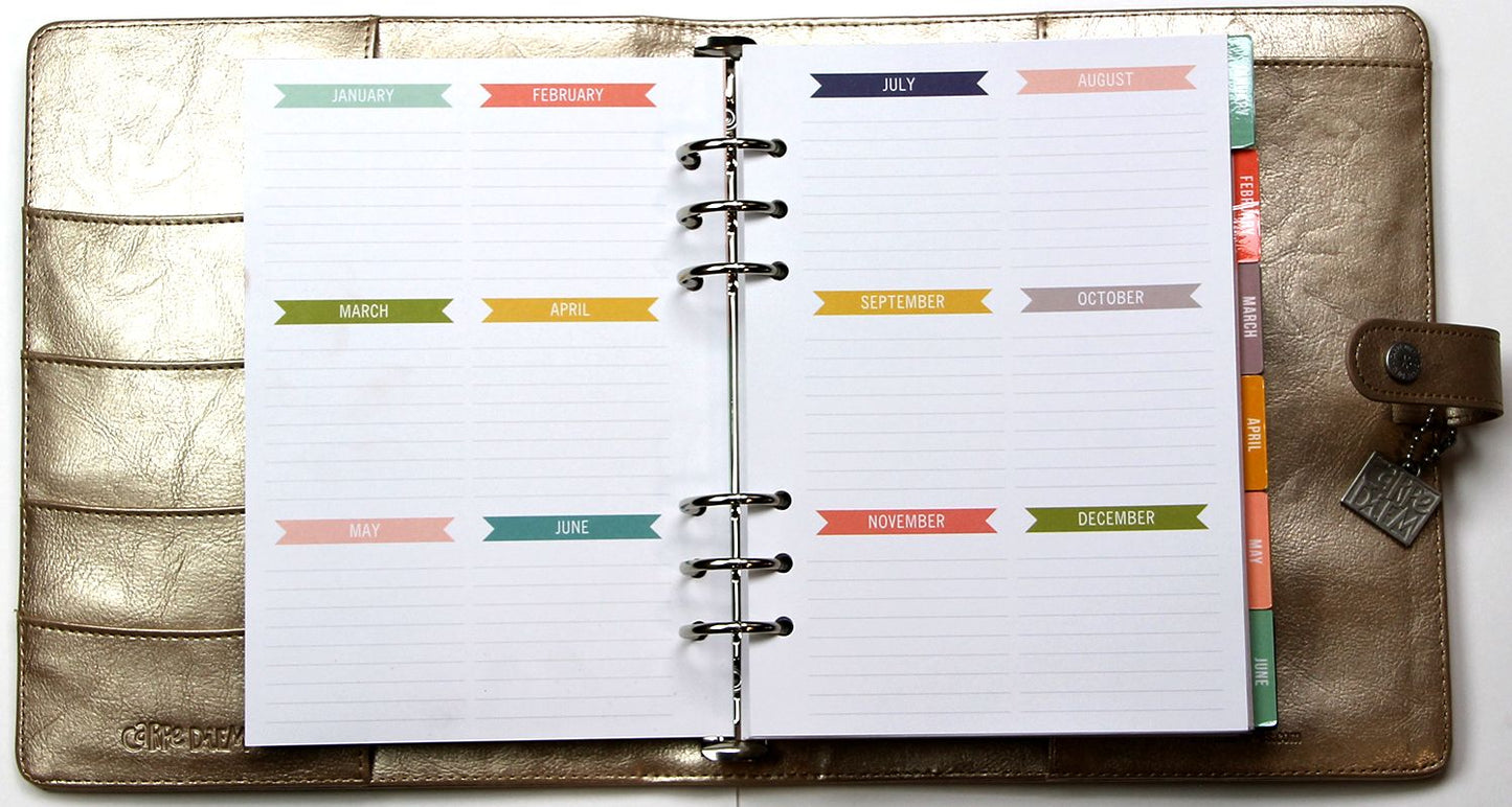 2018 Carpe Diem - Posh Platinum Monthly/Weekly Planner Box Set