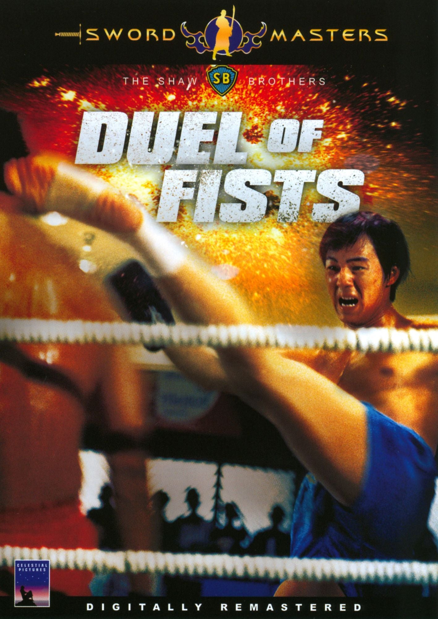 Sword Masters: Duel of Fists
