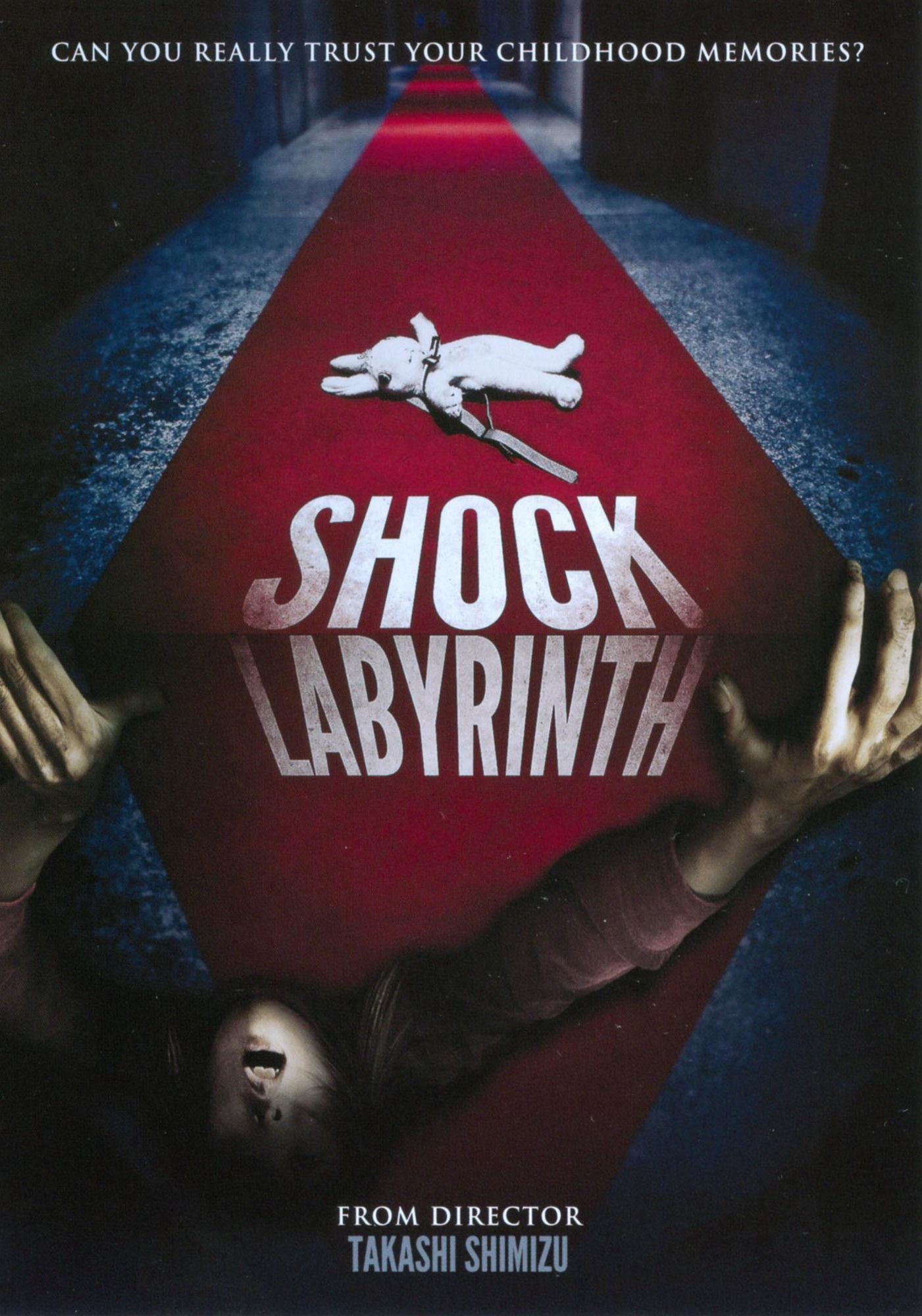 The Shock Labyrinth