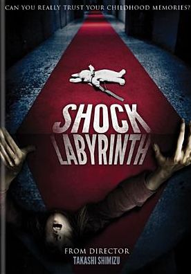 The Shock Labyrinth