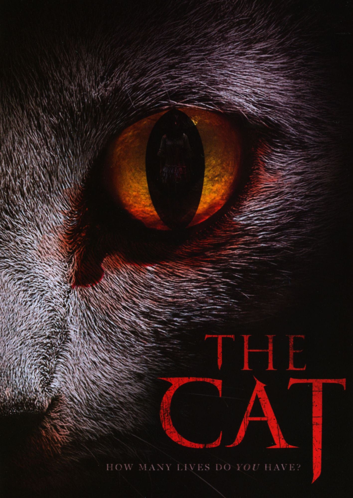 The Cat