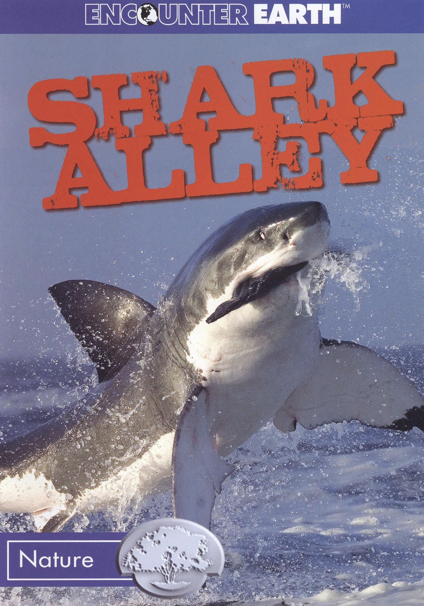 Shark Alley