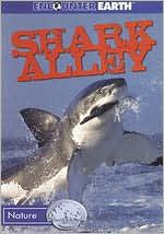 Shark Alley