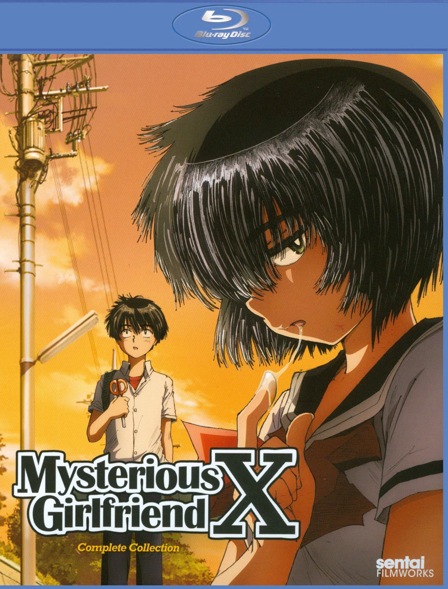 Mysterious Girlfriend X: Complete Collection [2 Discs] [Blu-ray]
