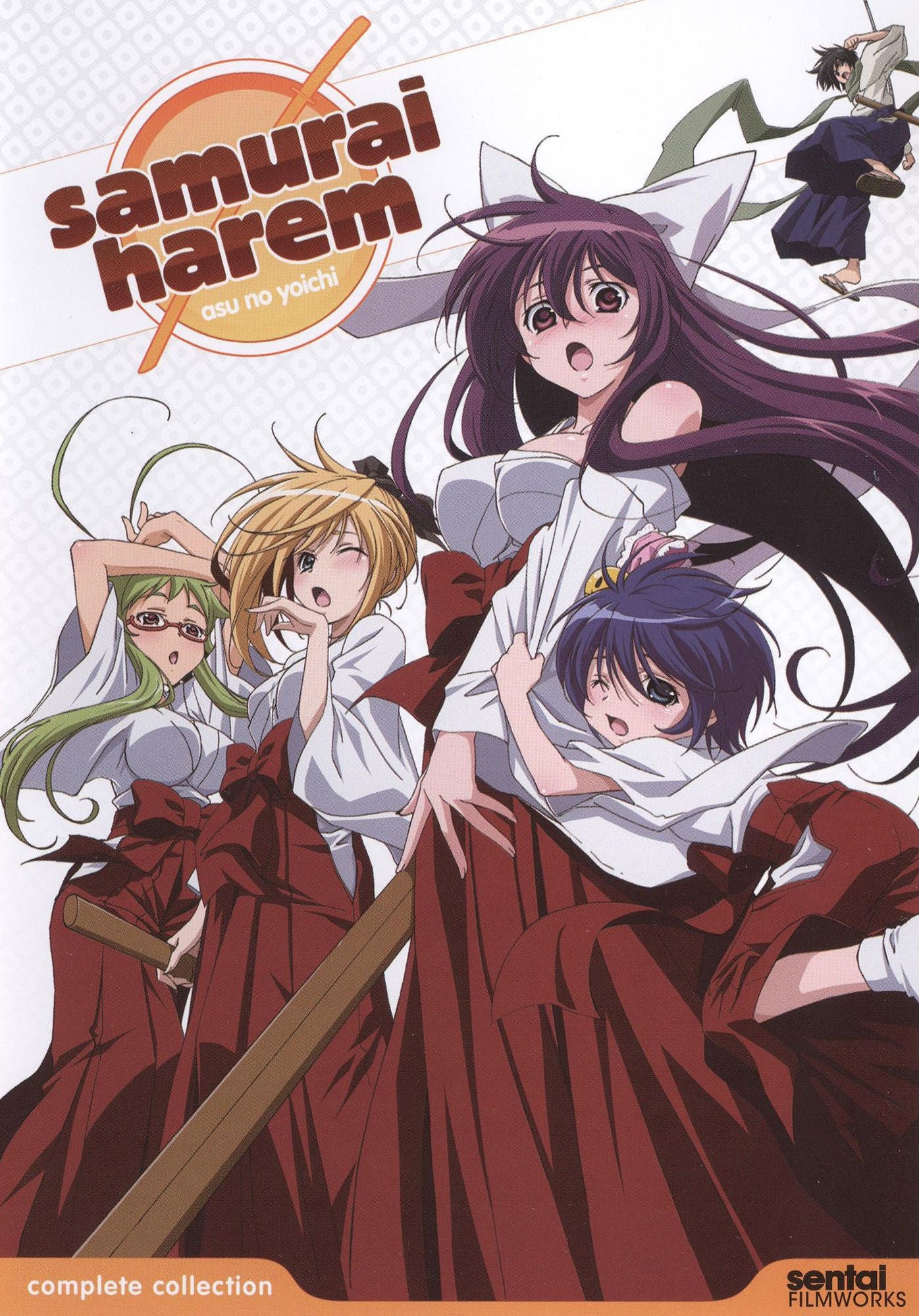 Samurai Harem: Complete Collection [2 Discs]