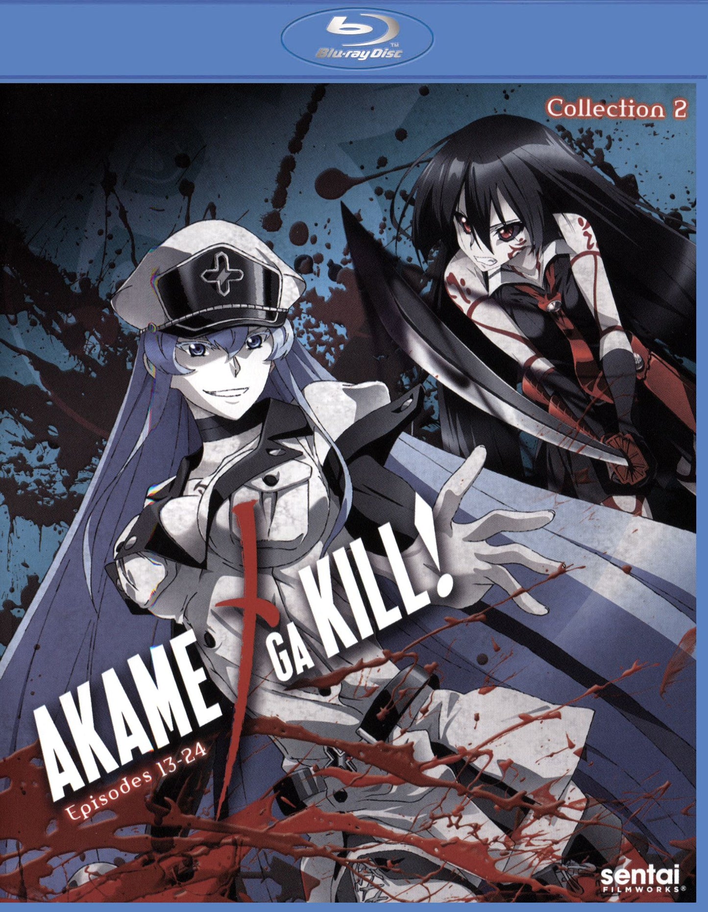 Akame Ga Kill 2