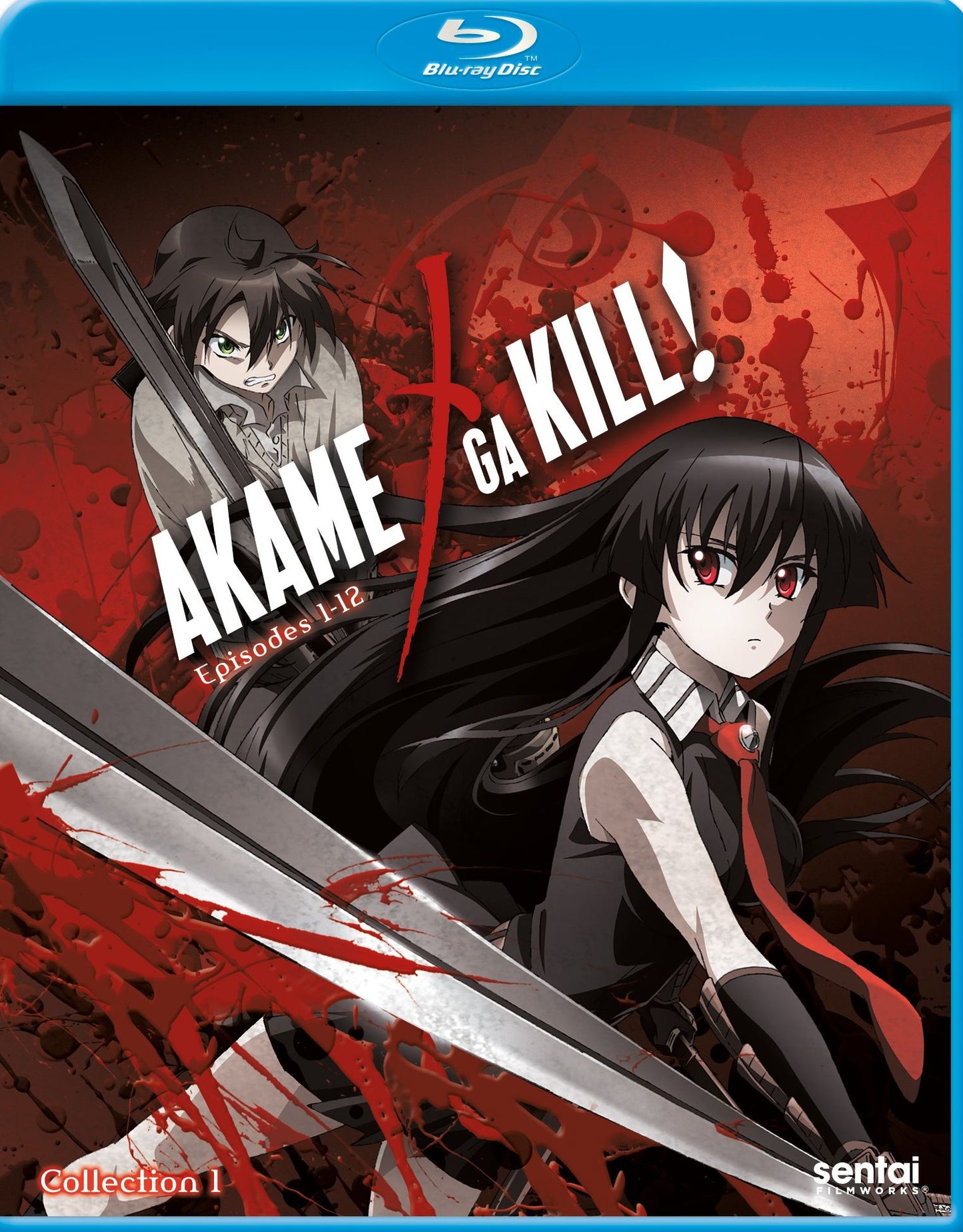 Akame Ga Kill 1