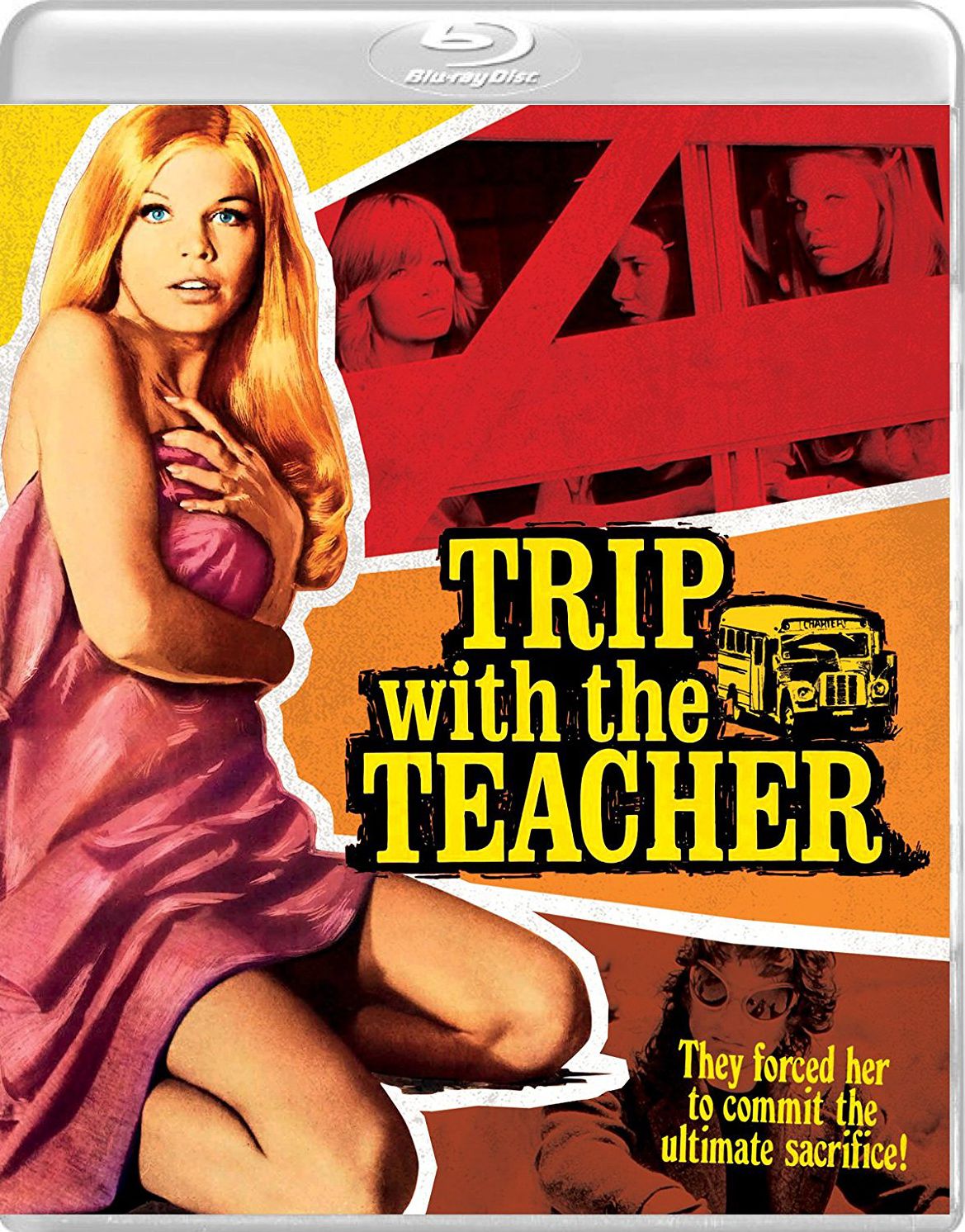 Trip With The Teacher